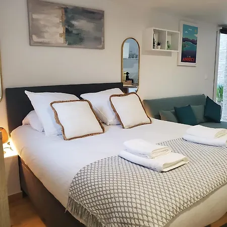 Annecy A 9 Minutes Du Annecy Avec Piscine Privee Tatil Evi Poisy