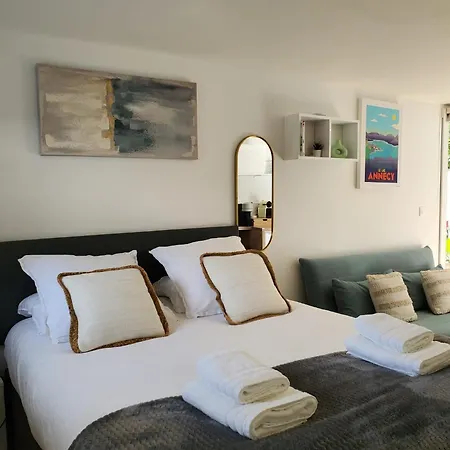 Annecy A 9 Minutes Du Annecy Avec Piscine Privee Tatil Evi *